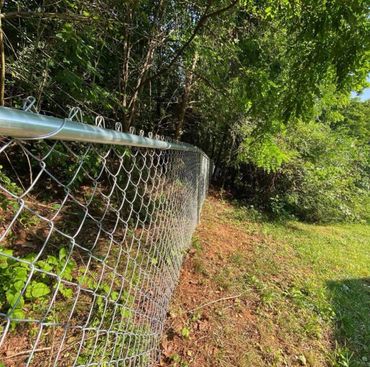 Galvanized chain-link going through the woods in a yard. 