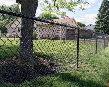 Black chain-link fence in a yard. 