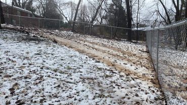 6 foot galvanized chain-link in a yard. 
