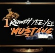 Rowdy Mustang Inc