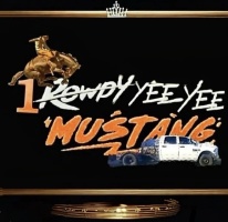 Rowdy Mustang Inc
