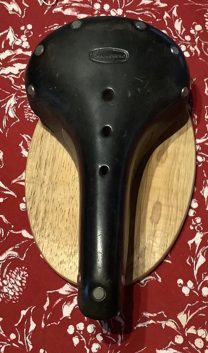 Brooks B17 Competition Standard, Campagnolo Model