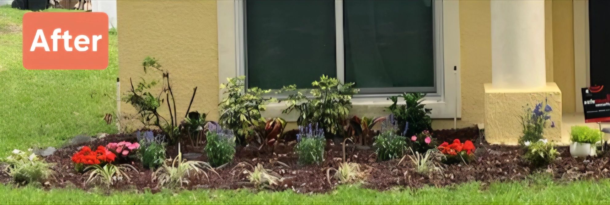 Freshly planted vibrant garden bed along a house wall with colorful flowers and greenery.
