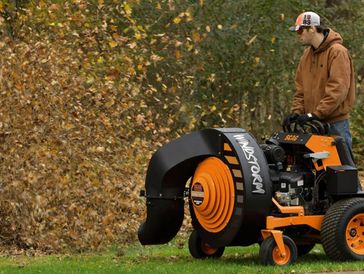 Leaf Removal