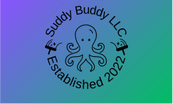 Suddybuddywindowcleaning