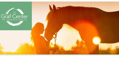 Silhouette of a woman with a horse at sunset.