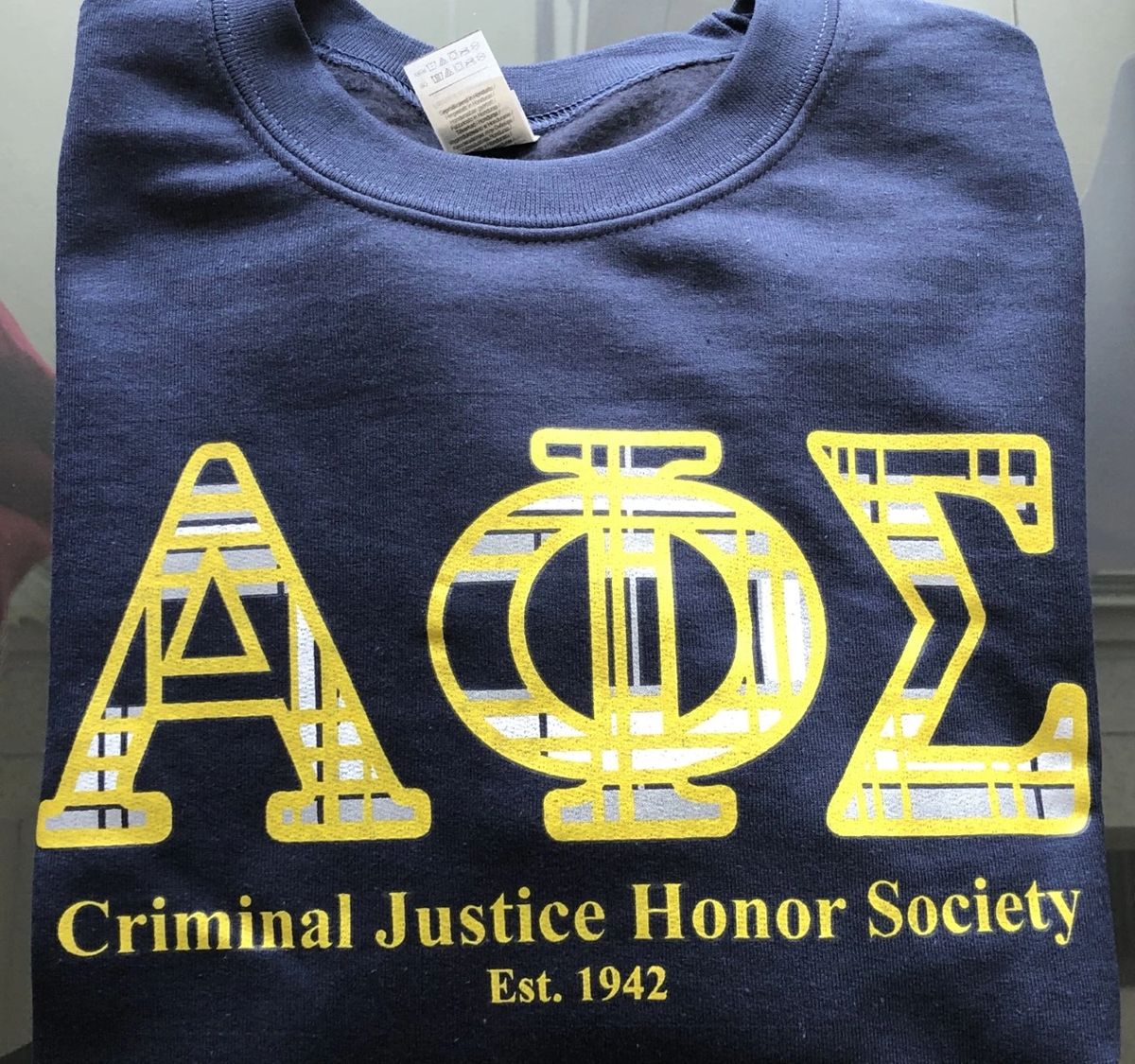 Alpha Phi Sigma Applique Sweatshirt Navy
