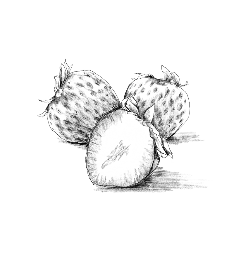Untitled_Artwork 62.png