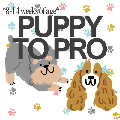 Illustration of two puppies with text 'Puppy to Pro' and colorful paw prints.