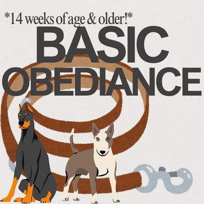 Illustration promoting basic obedience training for dogs aged 14 weeks and older.