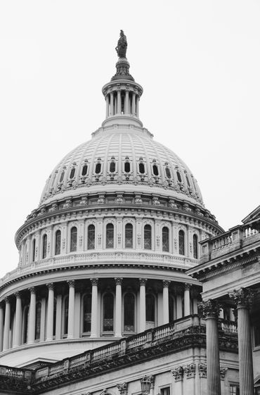 The Capitol in Black and White