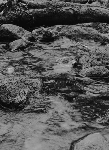River close up in Black and White