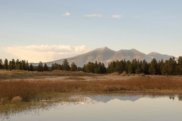Kachina Wetlands landscape photo