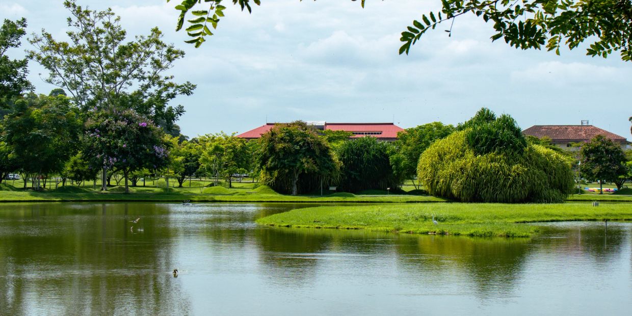 Lago en un parque con árboles y casas al fondo.