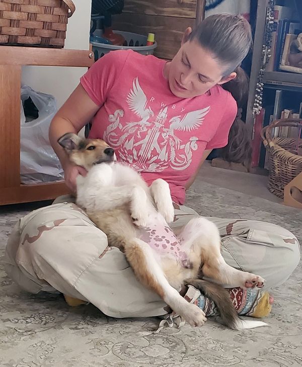 A woman sitting cross-legged on the floor, holding a relaxed puppy on her lap.