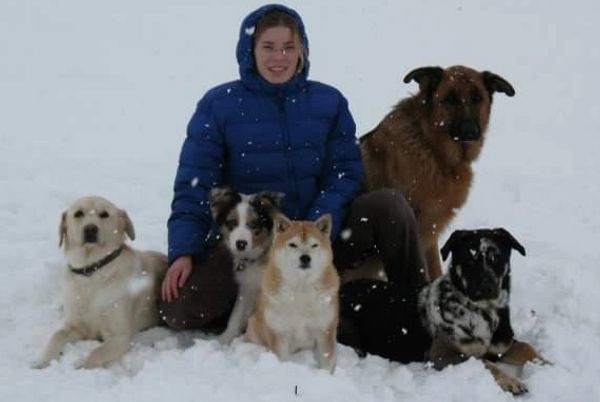 6 dogs in snow