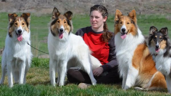 Featherburry foundation dogs.