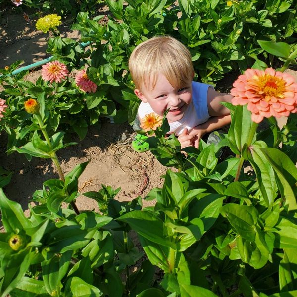 Boy in flowers.