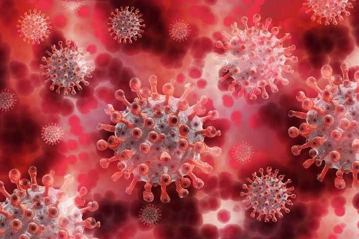Coronavirus affecting the world