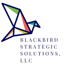 Blackbird Strategic Solutions
