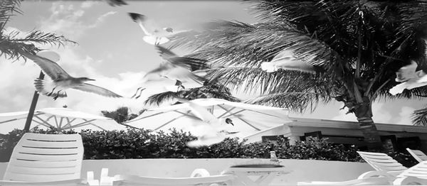 The Keys 1998-2000 Oil on Canvas 33" x 78"