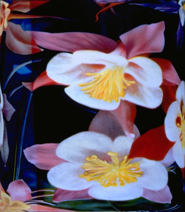 Painting Eight Skylight Seven, 1995, oil on canvas, 48" x 65"