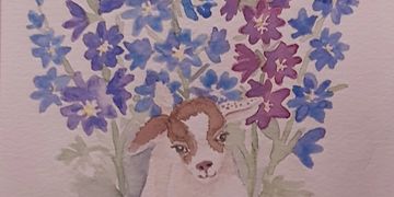 image34