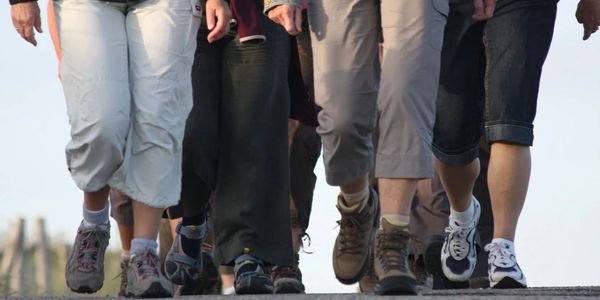 our hard working team