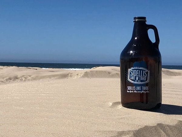 sidellis growler on Australian white sand beach