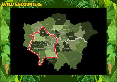 animal parties Richmond
animal parties Barnes
animal parties Wimbledon
animal parties Wandsworth