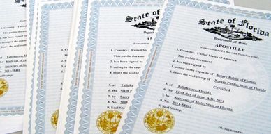 Example of Apostille Certificates