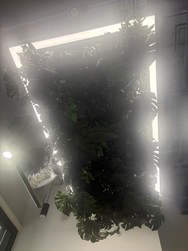 Green structure installation, beautifully illuminated.