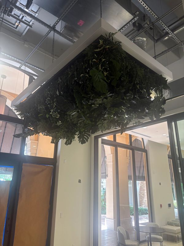 Green structured Plantscape suspended lattice.