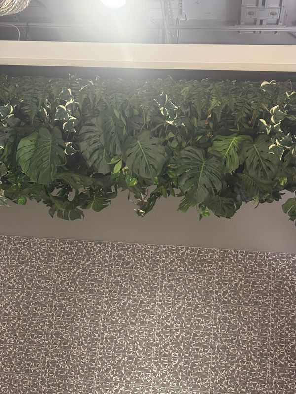 Monstera leaf installation.