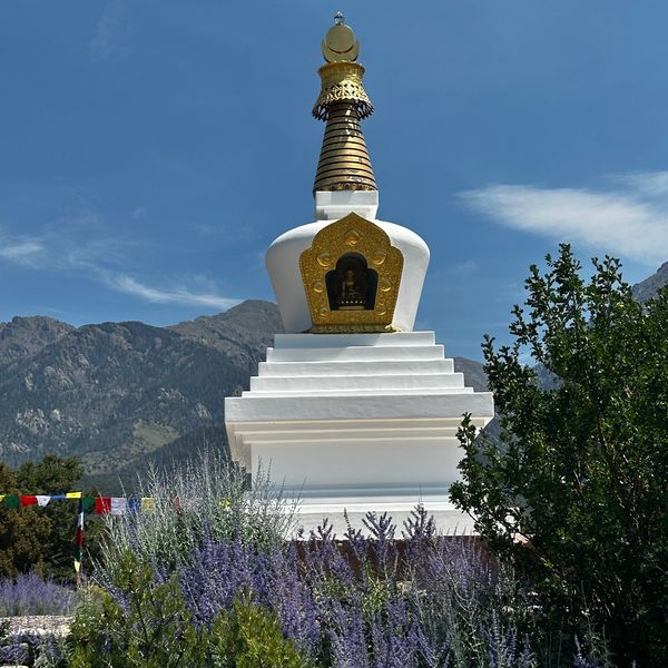 White and gold Buddhist stupa with mountain backdrop and purple flowers.