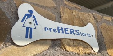 Our "herstory" - where we started & why