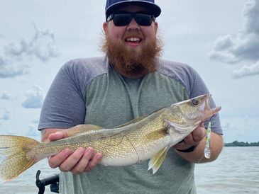 A nice 21” Walleye caught with our To Koi and Beyond pattern!