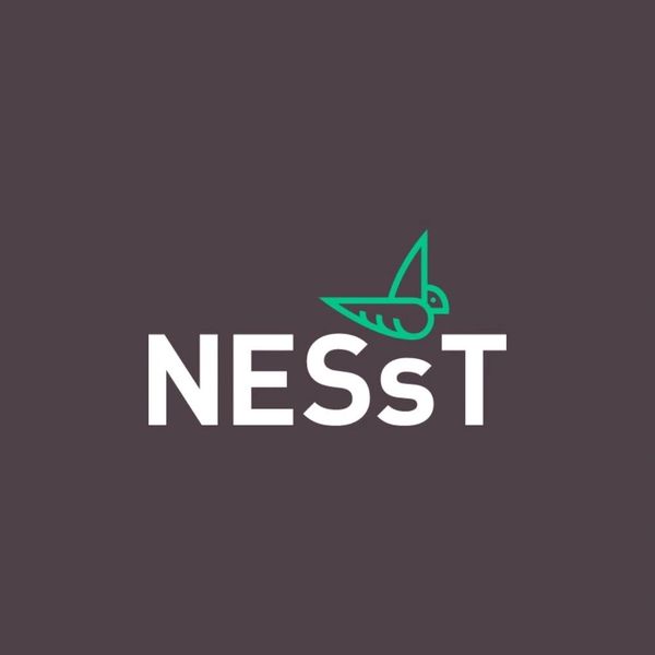 Logo with the word 'NESsT' and a green bird illustration.