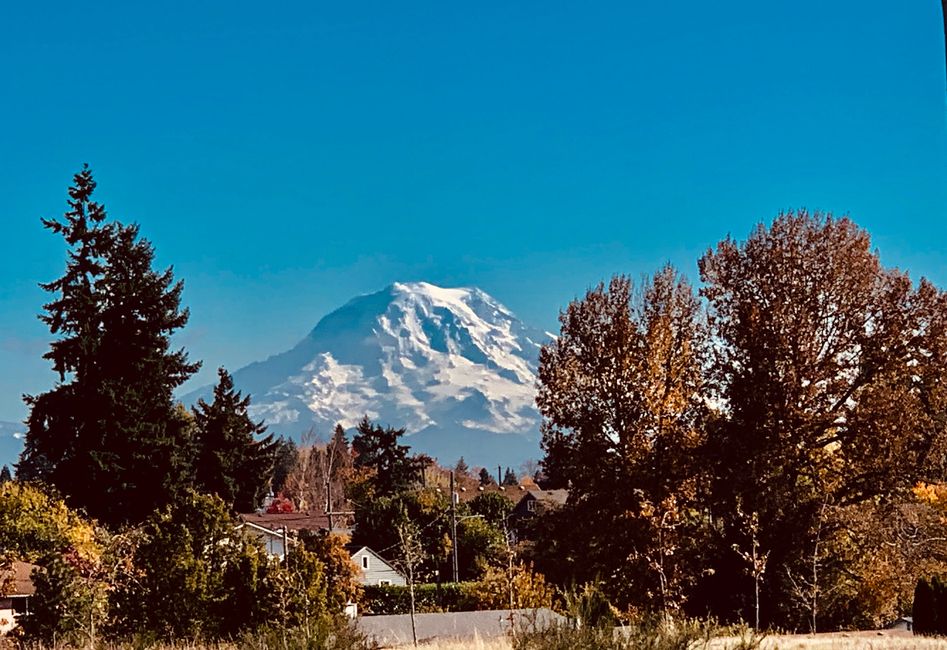 Mt Rainie Fall 2019