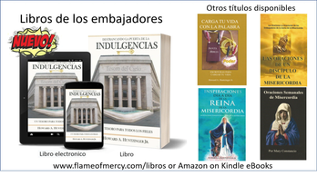 Libros de los embajadores sobre indulgencias y misericordia disponibles en formato electrónico y físico.