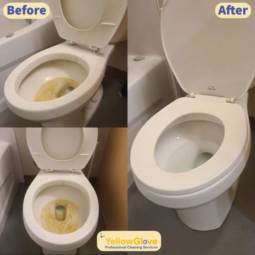 Before and after images of a toilet, showcasing the transformation from yellow water to clean water.