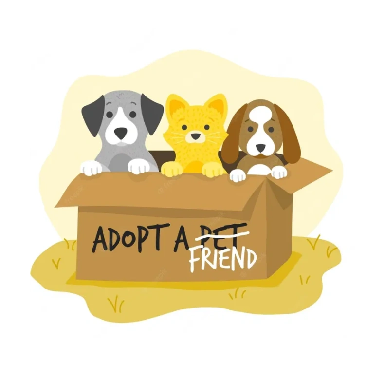 Adopt-A-Pet & Dog/Cat Boarding, Columbia-Greene Humane Society/SPCA