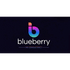 BLUEBERRY INTERNATIONAL