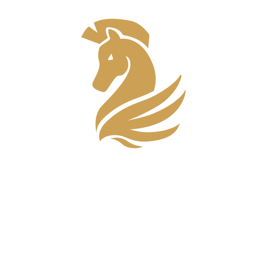 Chariot Projects - Consulting, Quality