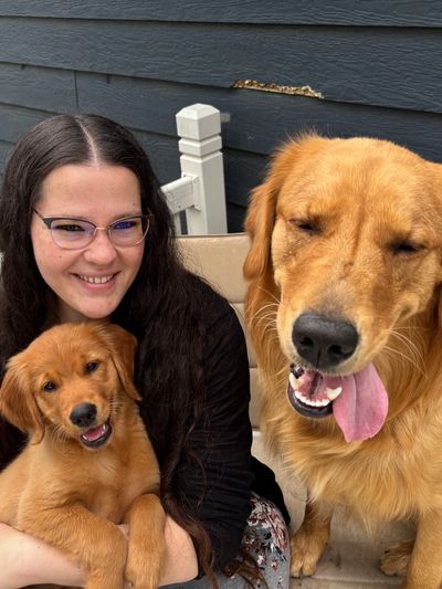 A woman smiling with two happy golden retrievers, one puppy and one adult dog.