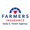 Sady Zayas-Visser Agency