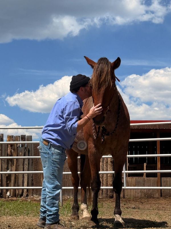 A man affectionately kisses a brown horse on the forehead outdoors.
