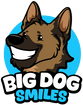 BigDogSmiles.org