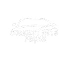 𝗔𝘂𝘁𝗼 𝗽𝗲𝗰̧𝗮𝘀 𝗖𝗼𝗻𝗻𝗲𝗰𝘁