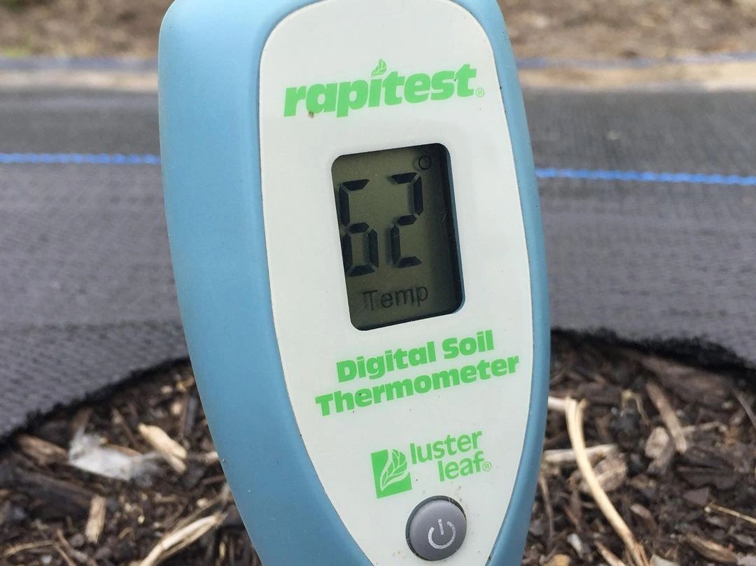 Soil temperature should be around 60 degrees.  You can purchase a soil thermometer for less than $20.00.